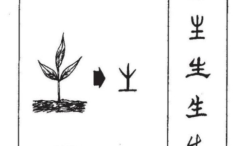 生燕麦片与熟燕麦片有什么区别